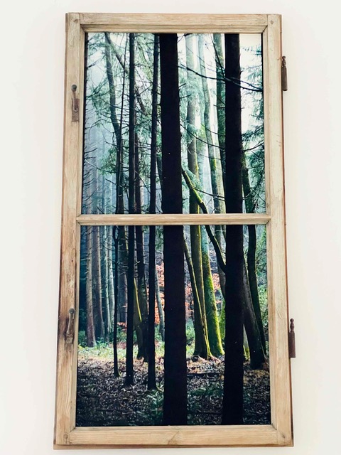 Fenster durch das ein Wald sichtbar wird.